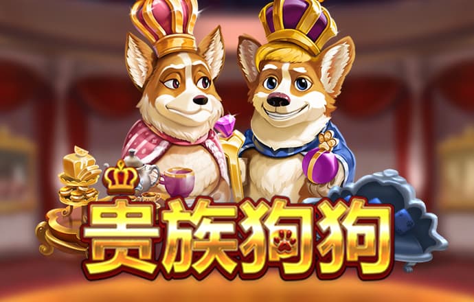 彩虹多多彩票官网